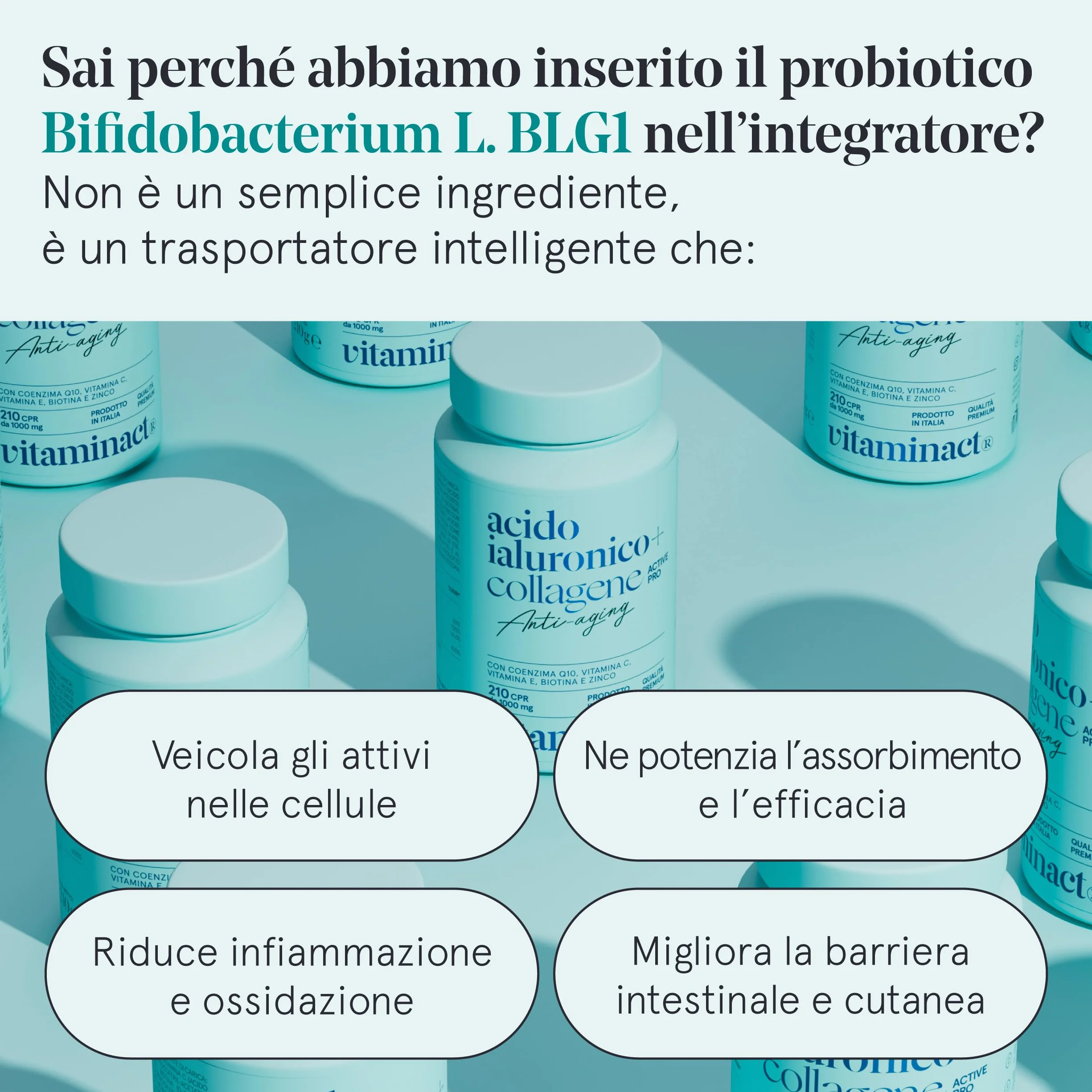 Collagene e Acido Ialuronico con Probiotico Bifidobacterium L. BLG1, Vit C e E, Q10, Zinco e Biotina