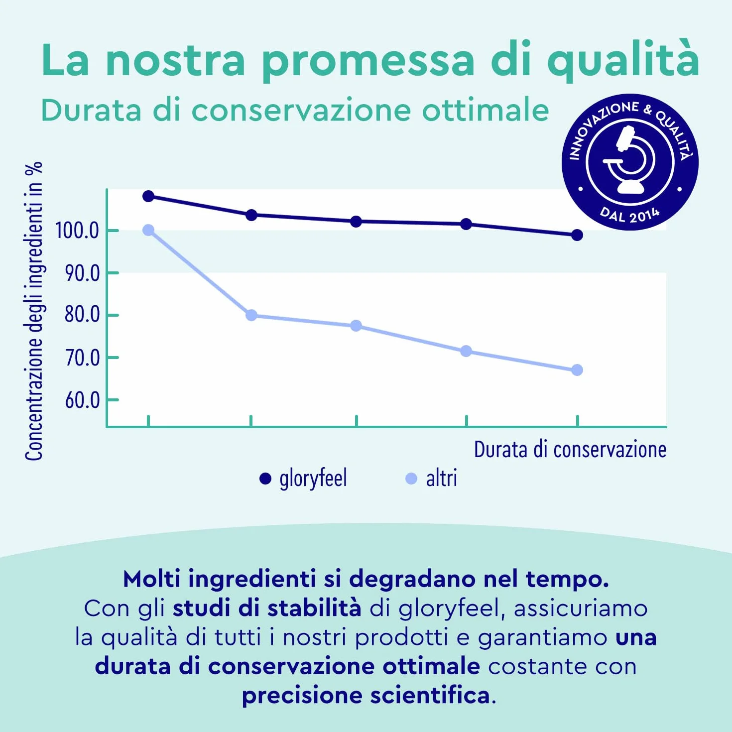 MSM 2000mg + Vitamina C Acerola 240 Compresse Alto Dosaggio - Metilsulfonilmetano Vegano per Ossa, Articolazioni, Pelle e Sistema Immunitario
