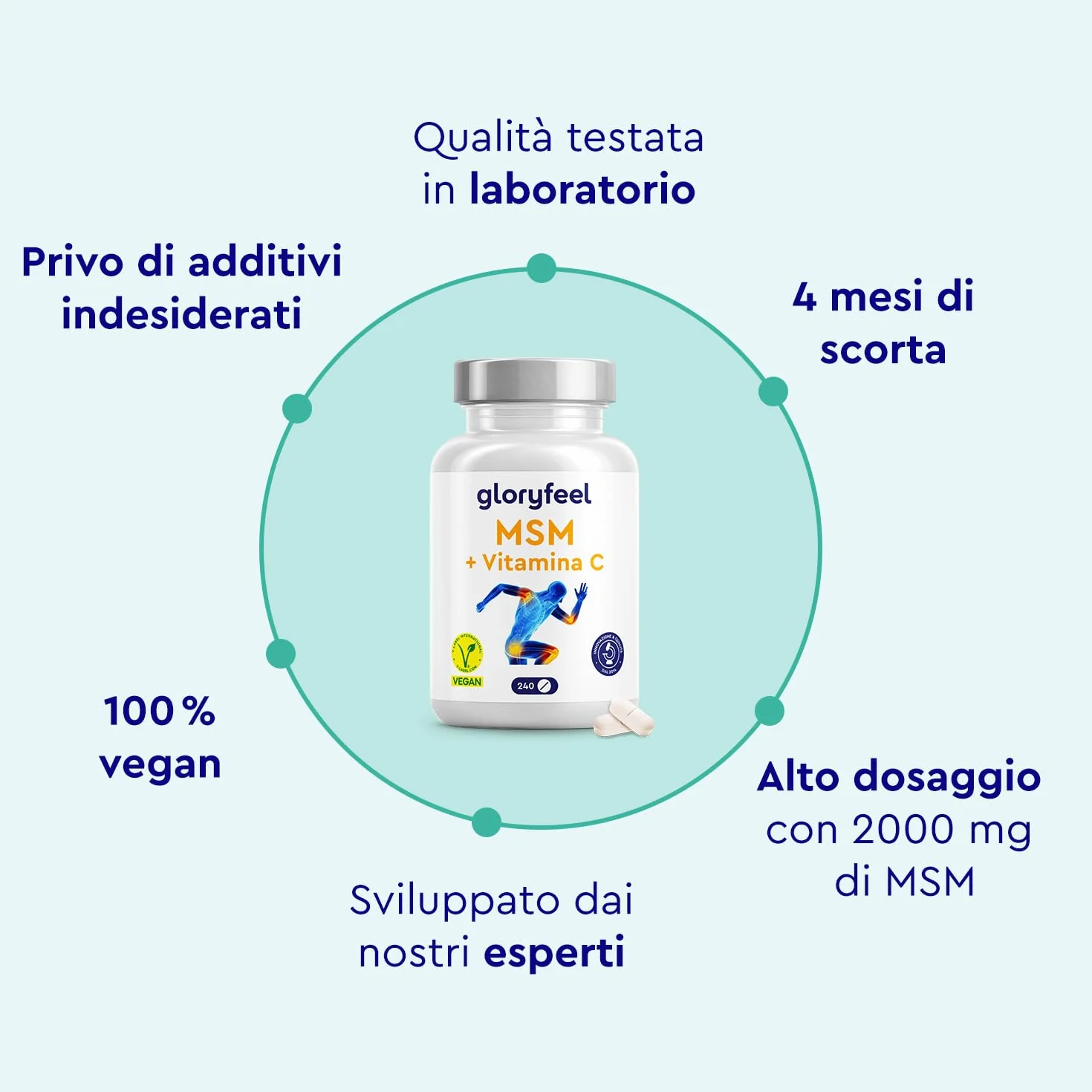 MSM 2000mg + Vitamina C Acerola 240 Compresse Alto Dosaggio - Metilsulfonilmetano Vegano per Ossa, Articolazioni, Pelle e Sistema Immunitario