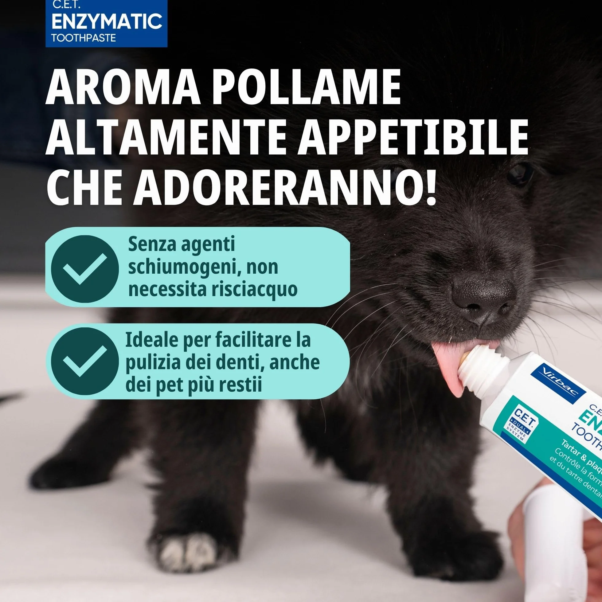 C.E.T. Dentifricio Enzimatico 70g Kit con Spazzolino