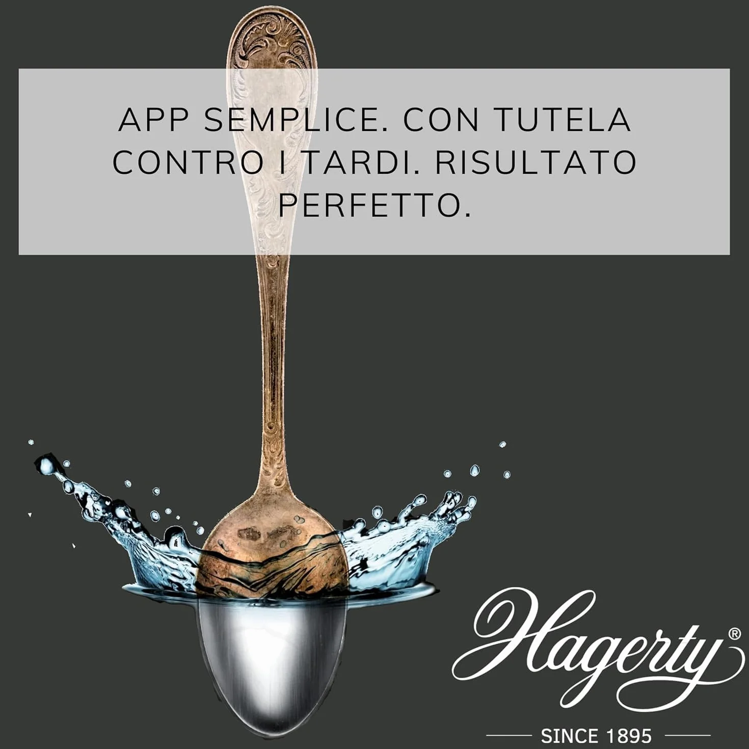 Hagerty Silver Bath Bagno detergente antiossidante per argento 580ml