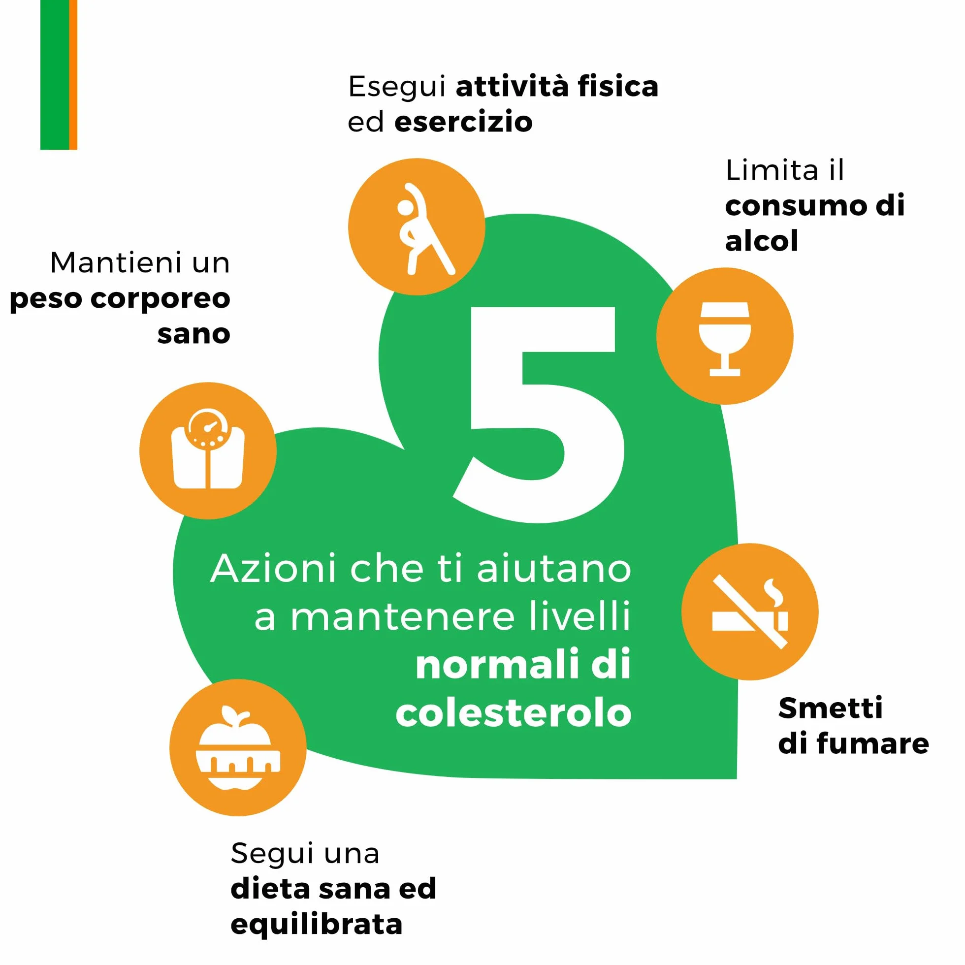 Armolipid Plus 60 Compresse Integratore Alimentare Berberis Aristata Riso Rosso Fermentato Acido Folico Policosanoli Coenzima Q10 Astaxantina