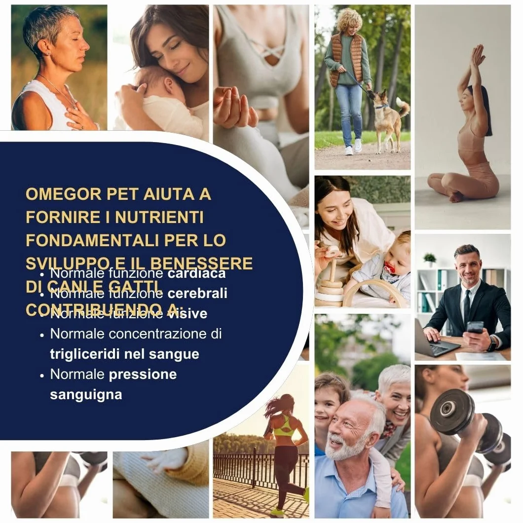 Omega 3 IFOS 5 Stelle 60 cps Olio di Pesce 1000mg Ricco di EPA DHA