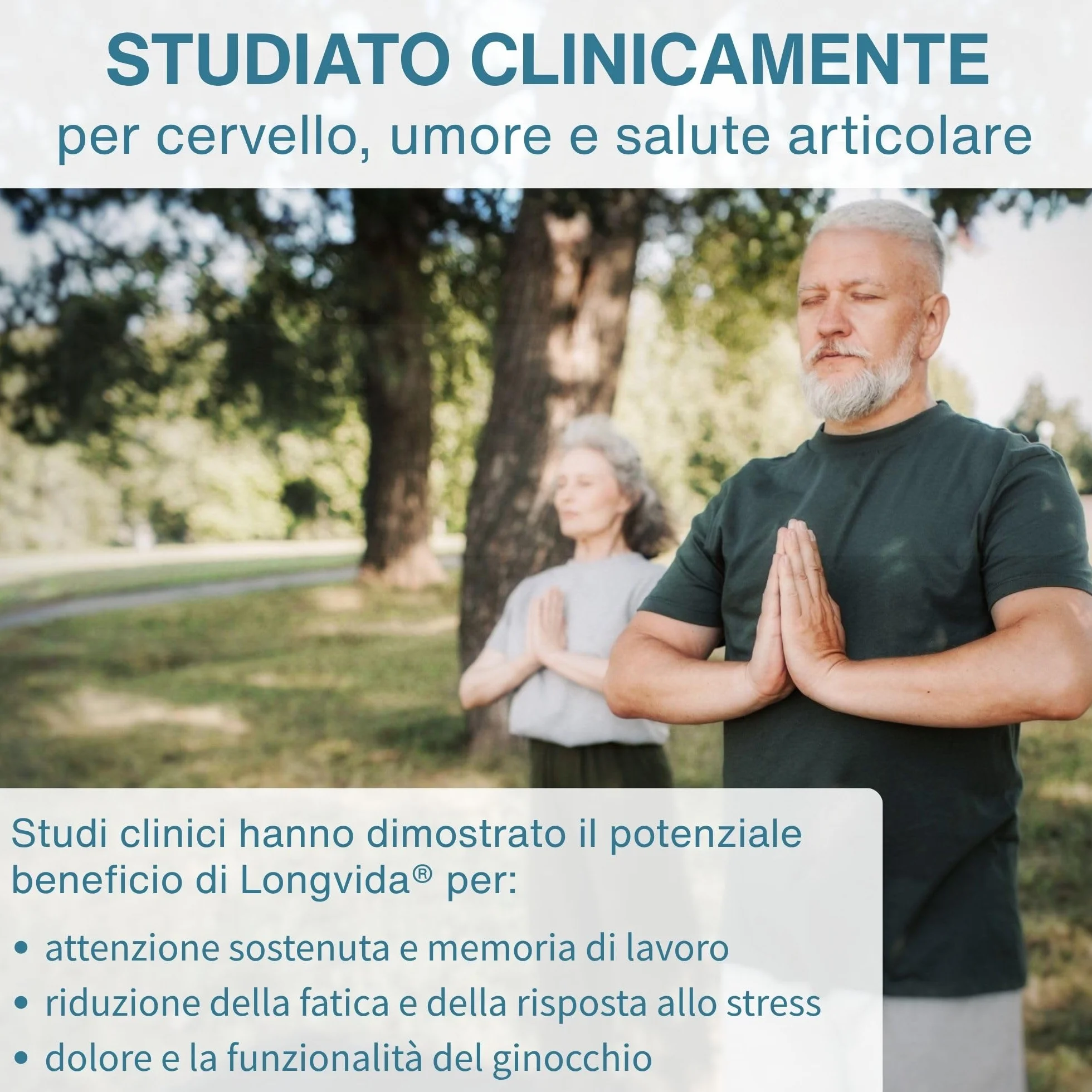 Longvida Curcumina 500mg, 30 Capsule Vegane, Supporto per Cervello, Mood e Articolazioni