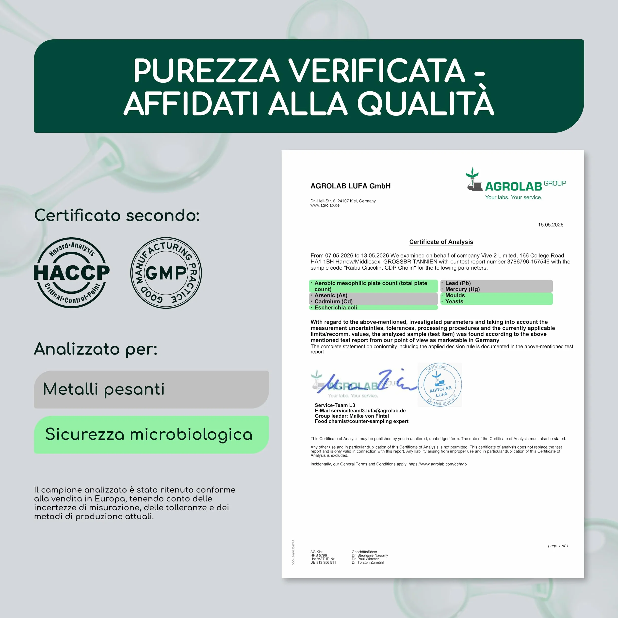 Citicolina 500 mg per Capsula 120 Capsule - CDP-Colina Pura Memoria Concentrazione Funzione Cellulare Vegano