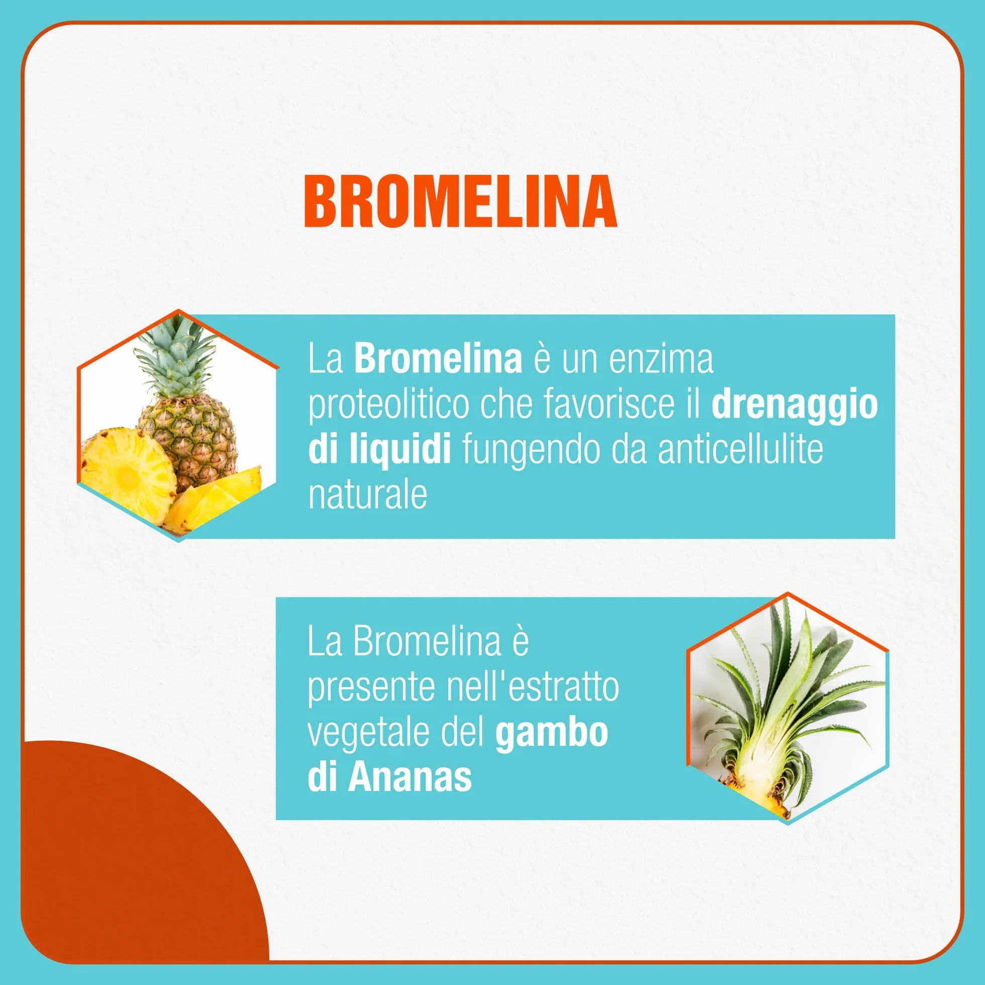 Fortilase Cell 30 Compresse Integratore Alimentare Anticellulite con Bromelina Caffè Verde Ippocastano